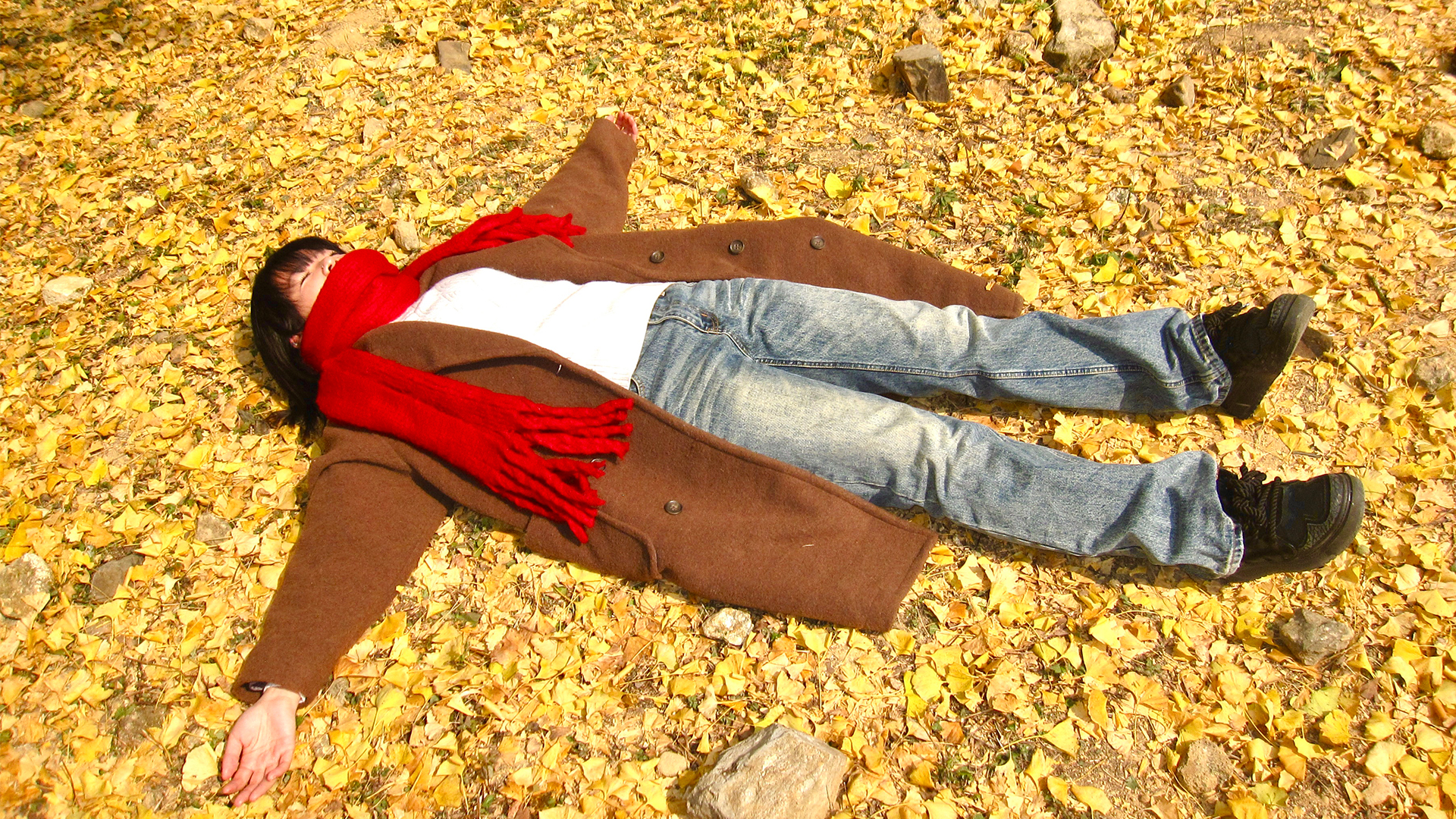 1115e23780c8a5bb1bfd0fc234d6ac0d