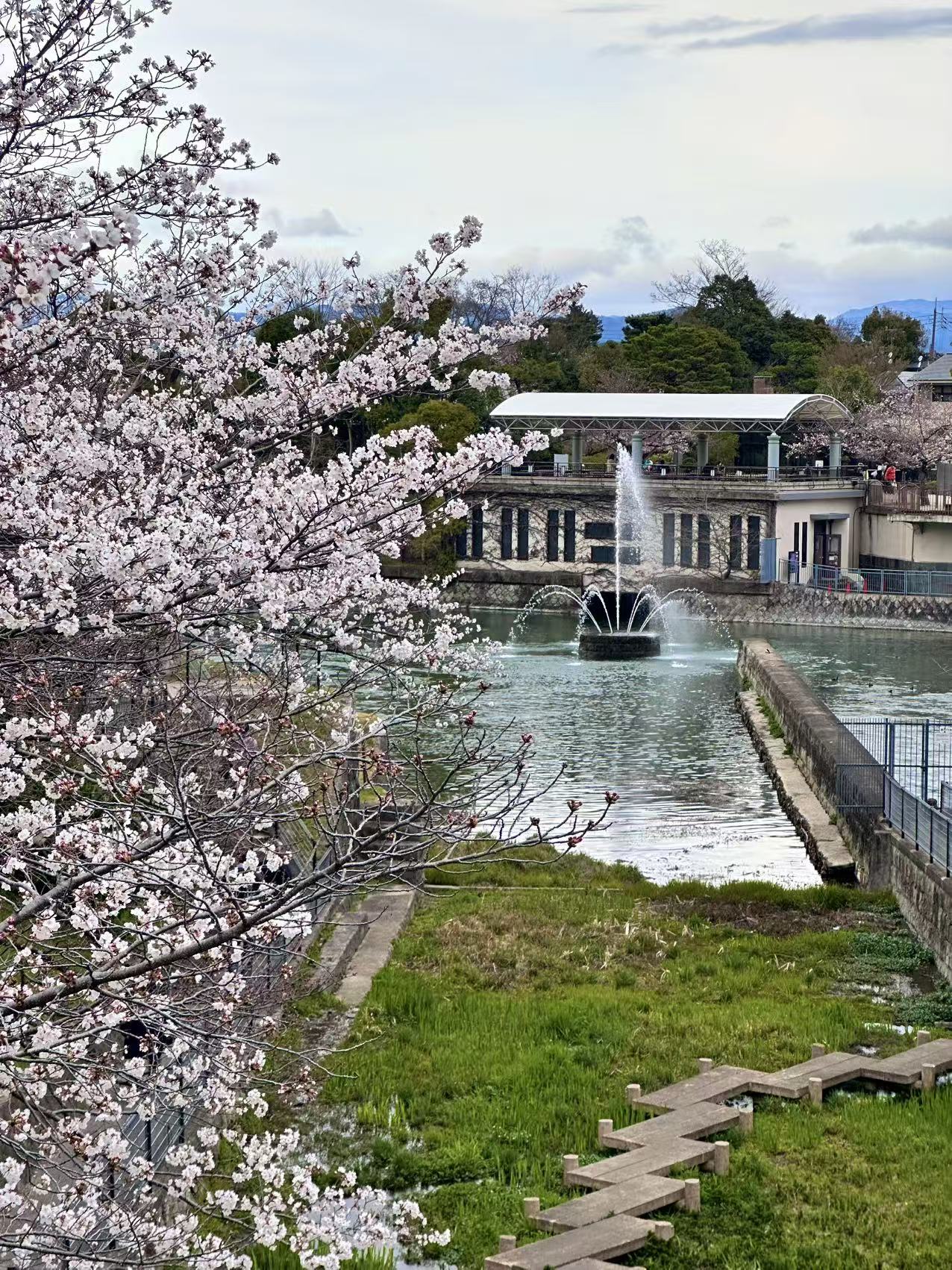 微信图片 20250830011143 6 97